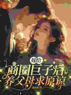 《本想娶花瓶，结果娶了个小祖宗》(盛心瓷秦凛)小说阅读by听风