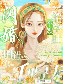 《苏念念顾知野》小说完结版精彩阅读 闪婚相错人，军嫂揣孕肚千里寻夫小说全文