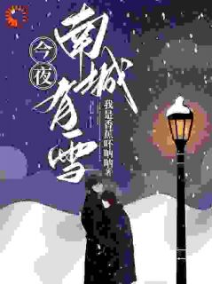 今夜南城有雪