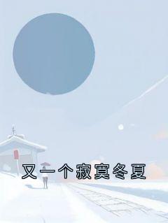 又一个寂寞冬夏