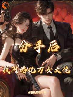 分手后，我闪婚亿万女大佬