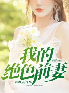 我的绝色前妻