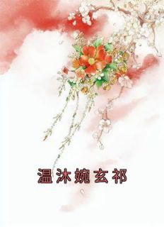 温沐婉玄祁