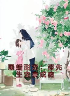 暖婚甜宠：邵先生宠妻成瘾