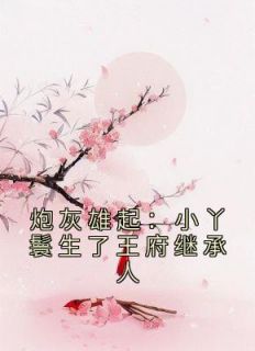 炮灰雄起：小丫鬟生了王府继承人