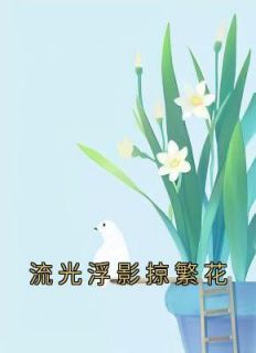 流光浮影掠繁花