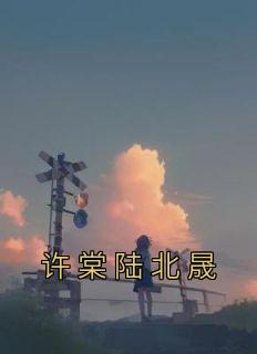 许棠陆北晟