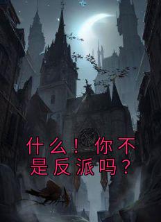 什么！你不是反派吗？