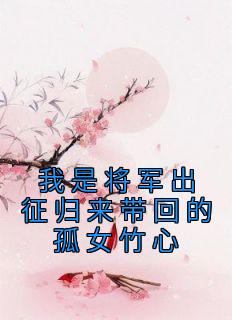 我是将军出征归来带回的孤女竹心