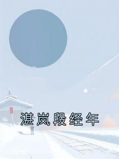 湛岚段经年