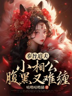 奉旨追夫，小相公腹黑又难缠