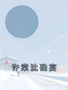 许棠沈确宴