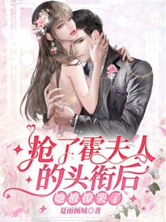 闪婚成宠：少奶奶今天回家了吗？