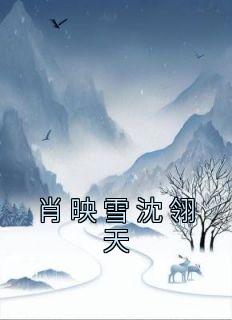 肖映雪沈翎天