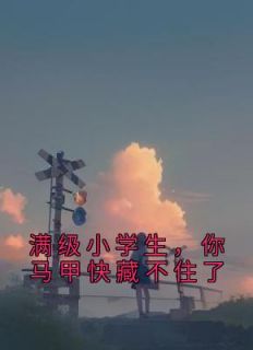 满级小学生，你马甲快藏不住了