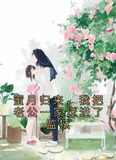 蜜月归来，我把老公一家送进了监狱