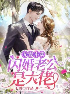 无爱不欢：闪婚老公是大佬