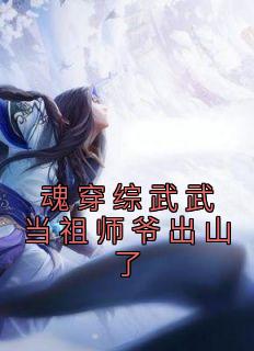 魂穿综武武当祖师爷出山了