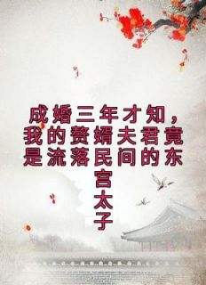 成婚三年才知，我的赘婿夫君竟是流落民间的东宫太子